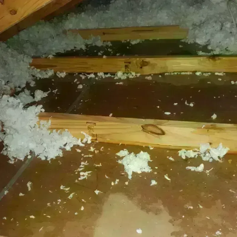 Attic Water Damage in Montgomery, WV