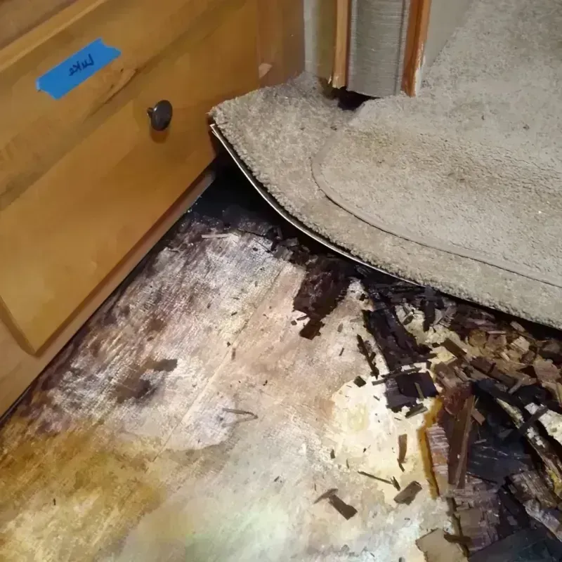 Wood Floor Water Damage in Montgomery, WV